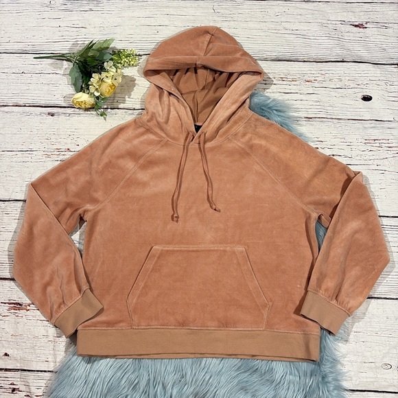 J. CREW Relaxed Blush Pink Pullover Velour Hoodie - Picture 2 of 9